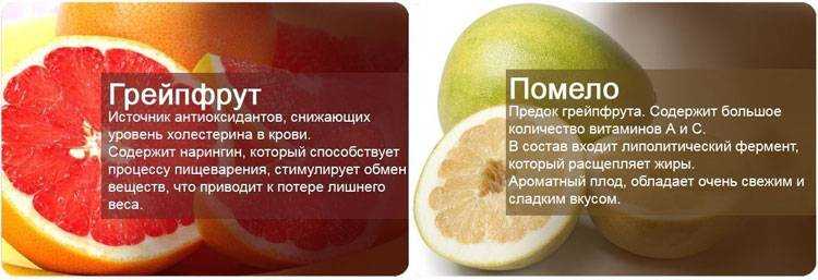 Чем полезно помело для организма женщины. Полезные витамины в грейпфруте. Какие витамины в грейпфруте чем полезен. Чем полезна помело для организма. Грейпфрут для похудения калорийность.