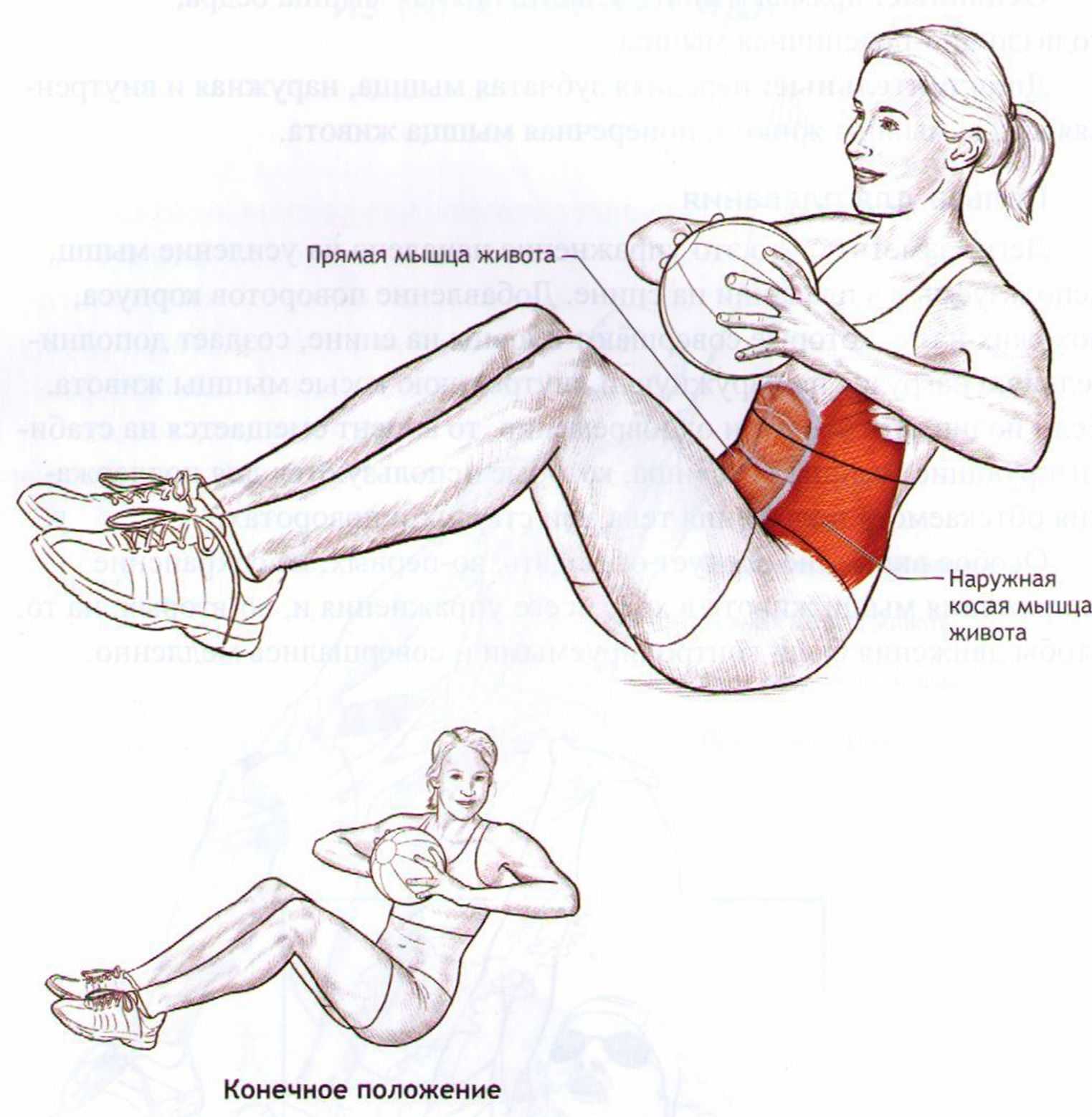 Упражнения на пресс в картинках