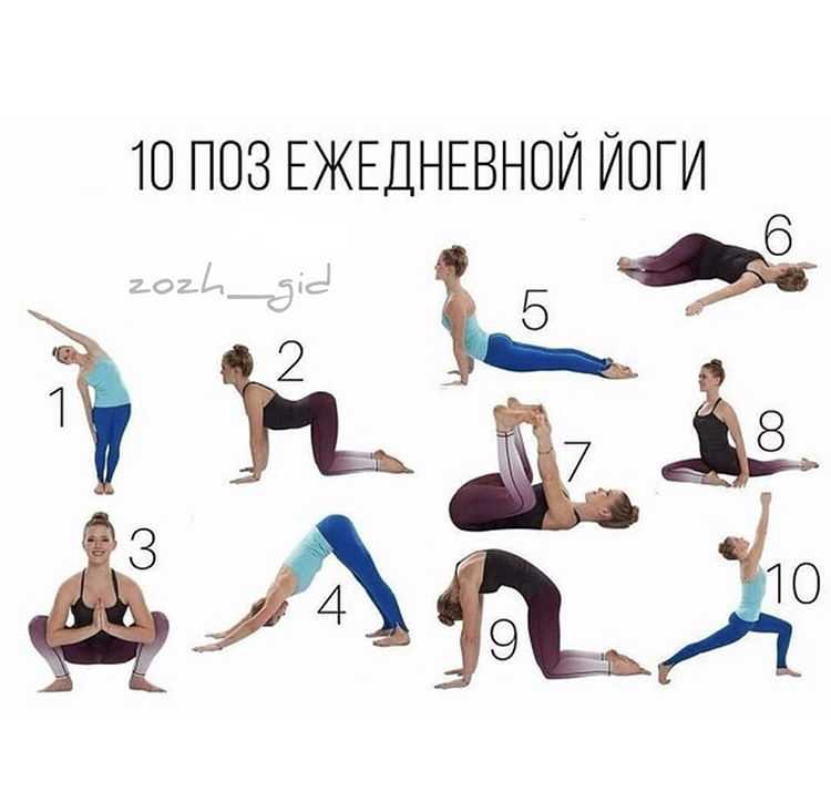 Йога для начинающих для похудения в домашних условиях – эффективные упражнения