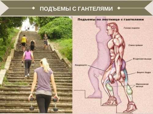 Уличные тренировки - упражнения для ног - фитнесс гуру