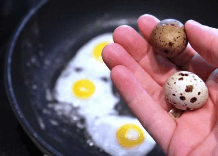 Сколько перепелиных яиц можно взрослому. 2 Перепелиных яйца. Яйцо перепелиное. Что полезного в перепелиных яйцах. Перепелиные яйца детям.