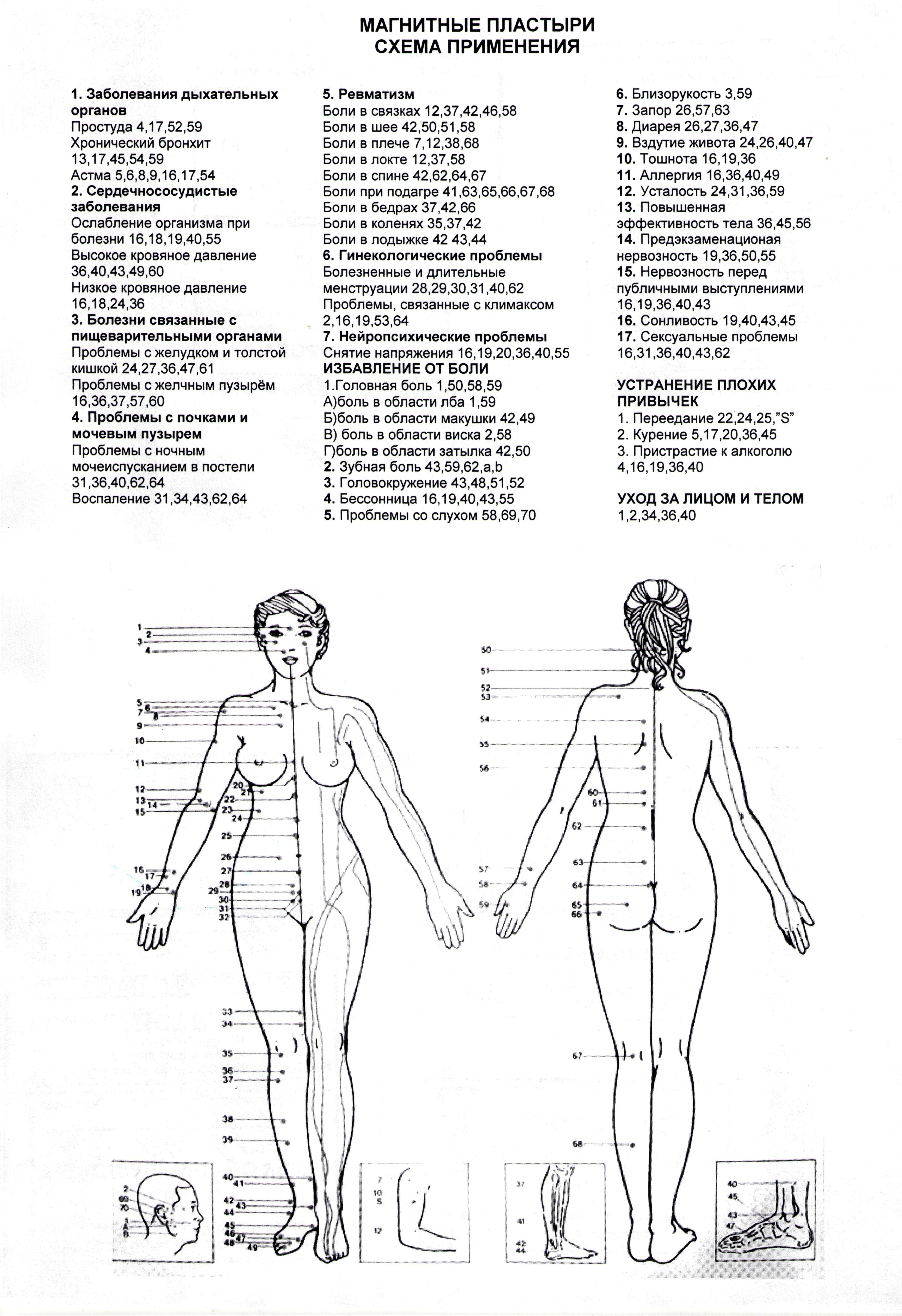Схемы расположения органов и руководство по поиску лечебных точек