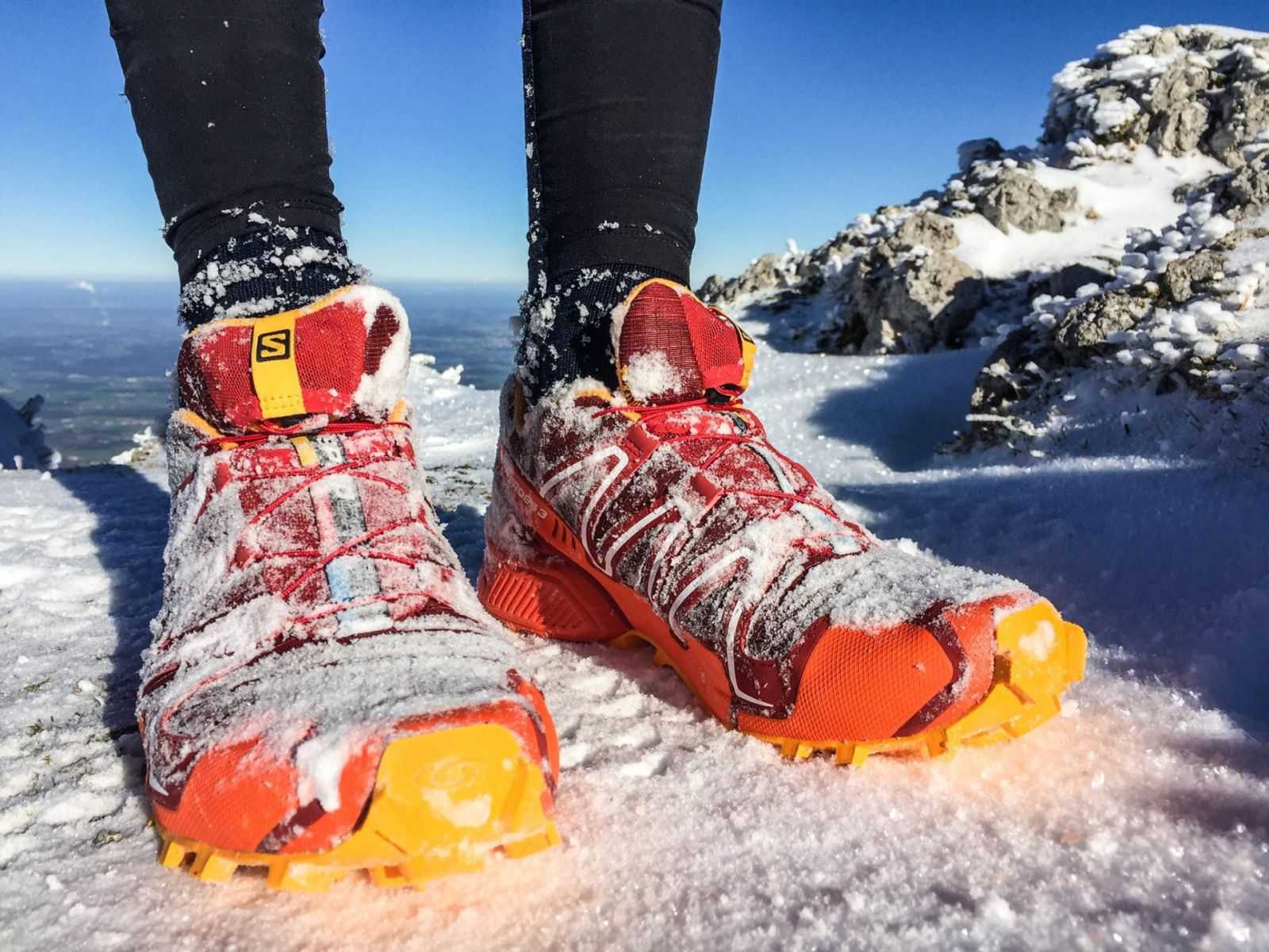 Кроссовки в снегу