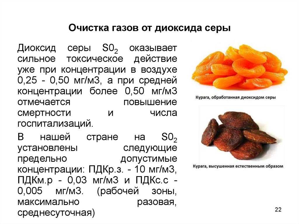Диоксид серы в продуктах