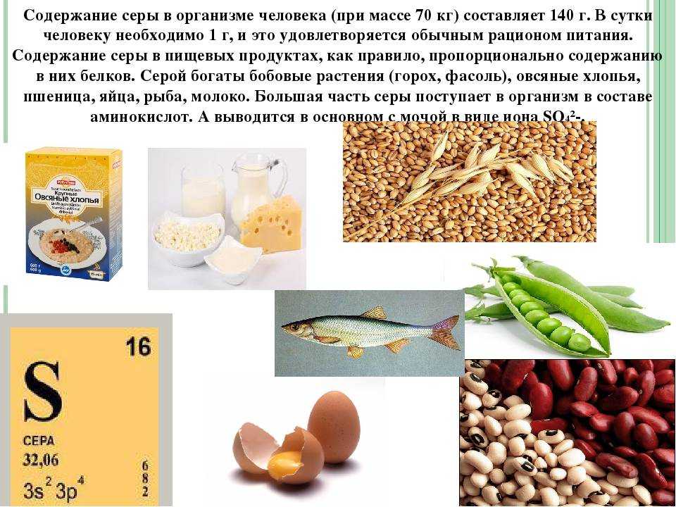 Топ-16 продуктов, вызывающих рак
