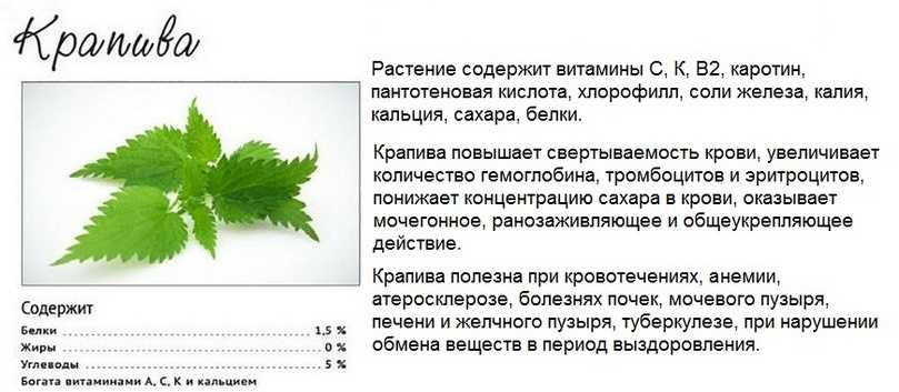 Питаемся правильно во время беременности