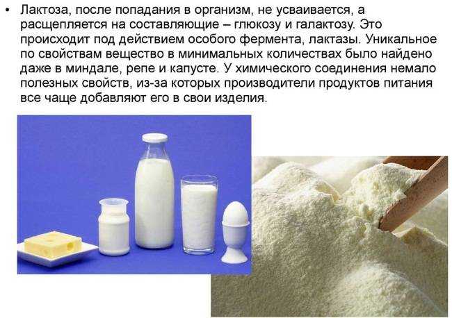 Сыр домашний: бжу (содержание белков, жиров, углеводов), калорийность, питательная ценность и польза