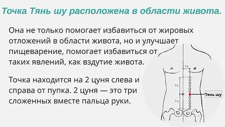 Как делать массаж для похудения живота - женщина без предела