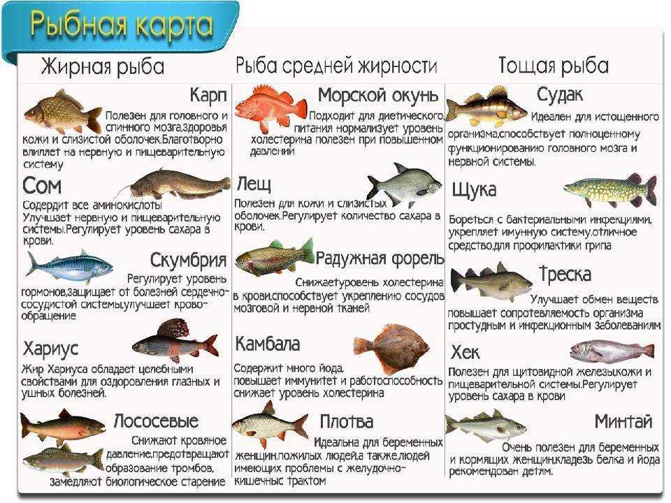 Форель: польза и вред