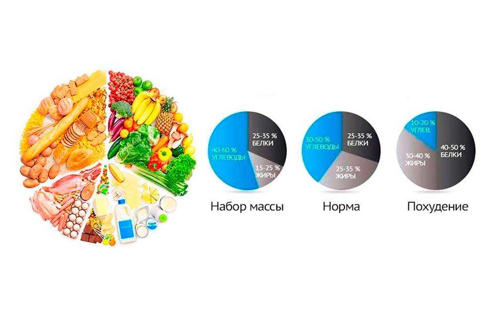 Зожник |   эффективные белки: в каких продуктах больше всего белка на 100 ккал