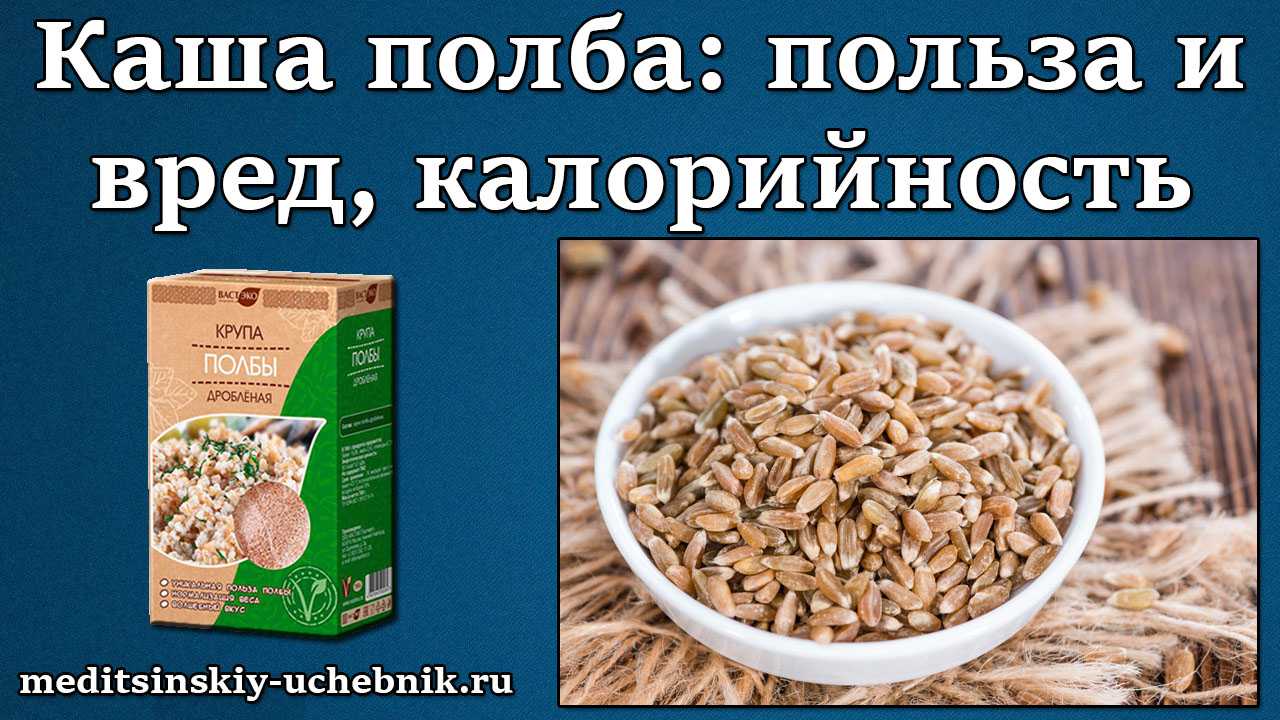 Что такое клейковина пшеницы, как она определяется и на что влияет
